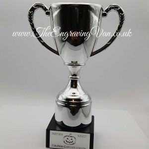 Trophy and Awards Engraving Service